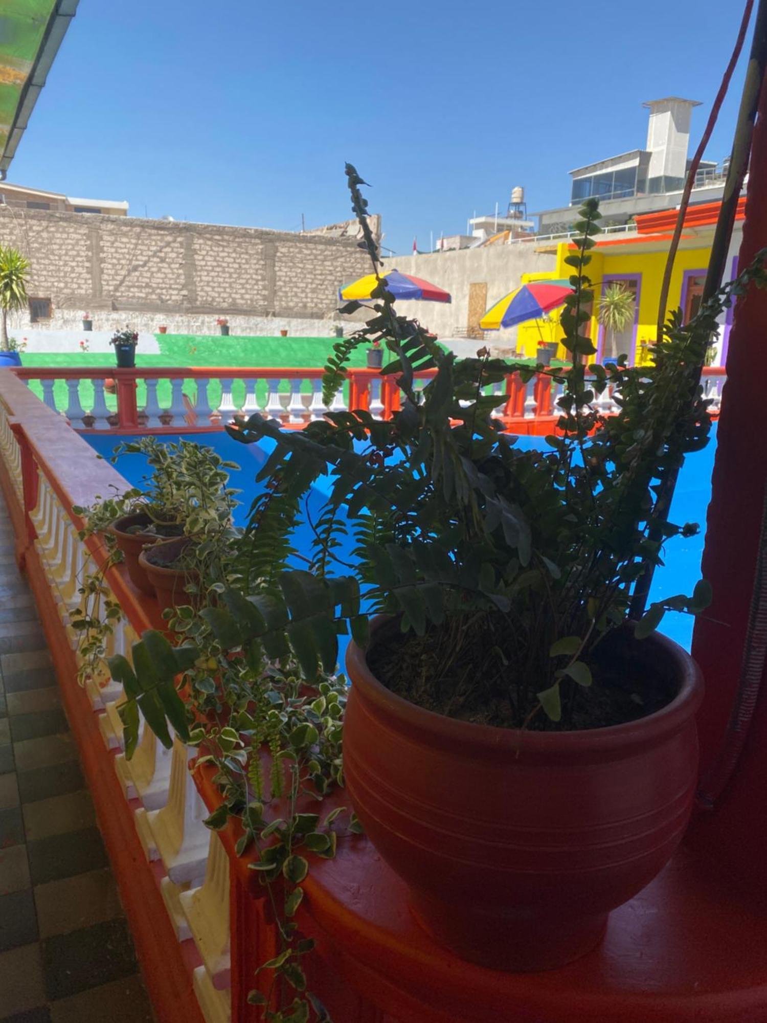 Pusary Hostel Αρεκίπα Εξωτερικό φωτογραφία